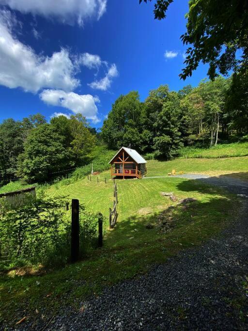 Cozy Cabin Near Grayson Highlands State Park Whitetop Zewnętrze zdjęcie