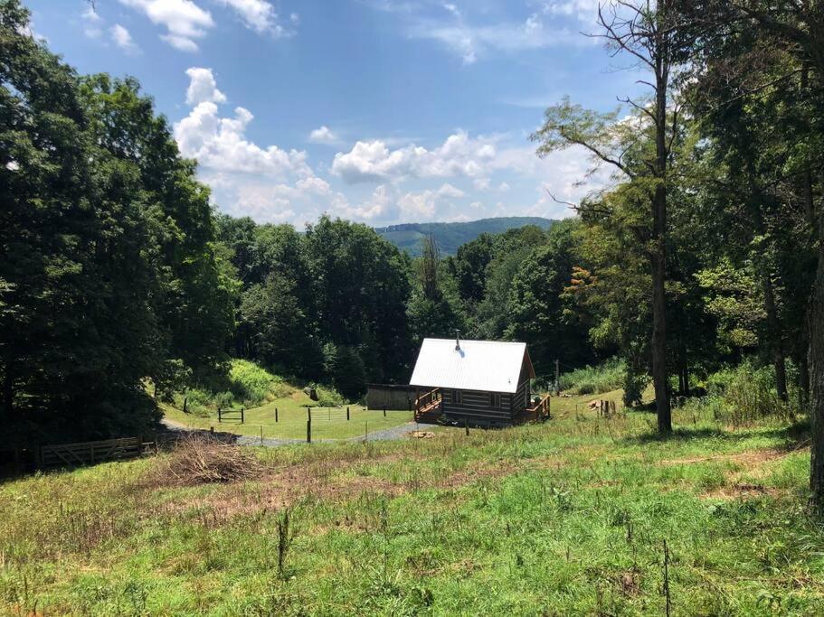 Cozy Cabin Near Grayson Highlands State Park Whitetop Zewnętrze zdjęcie