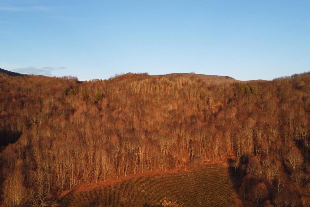 Cozy Cabin Near Grayson Highlands State Park Whitetop Zewnętrze zdjęcie